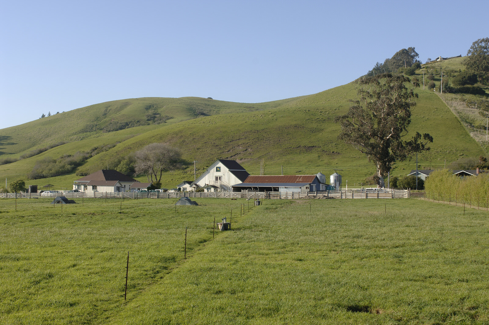 Photo of grassy farmland