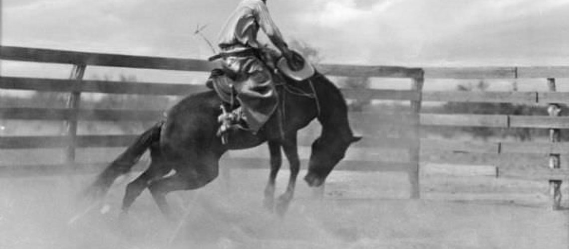 Cowboy Taming a Horse