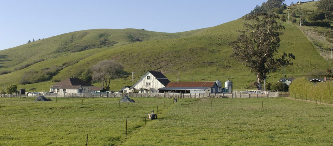 Photo of grassy farmland
